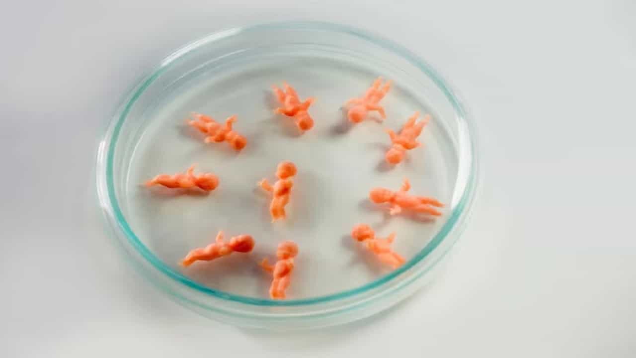 Lab-Grown Babies: ল্যাবেই জন্ম নেবে সন্তান, বাবা-মা হতে পারবেন ...