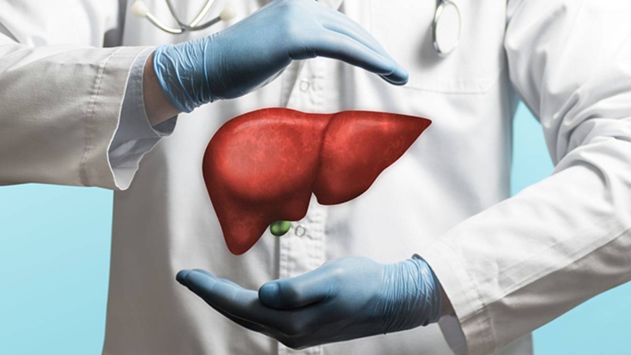 Liver Health: অকালে ক্ষতিগ্রস্ত হবে না লিভার মেনে চললে এইসব নিয়ম, জানুন কী করণীয়