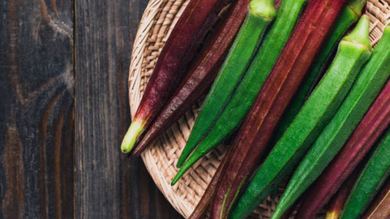Okra Benefits:  সবুজ নয় লাল ঢ্যাঁড়শেই লুকিয়ে একগাদা রোগের উপশম, উপকারিতা জানেন?