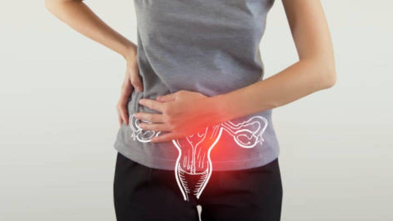 PCOS and Periods: পিসিওএস রয়েছে, পিরিয়ড নিয়মিত হয় না? সমাধান আছে আপনার হেঁশেলে