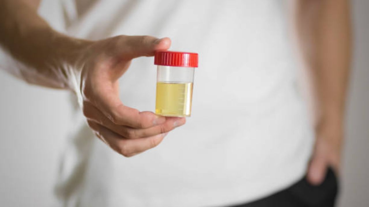 Lesbian xotinlarning uy qurilishi fotosuratlari