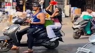 Viral Video: ফণা তুলে অতিকায় গোখরো সাপ, মারতে গেল দুষ্টু বাঁদর…. যুদ্ধে কে জিতল দেখুন