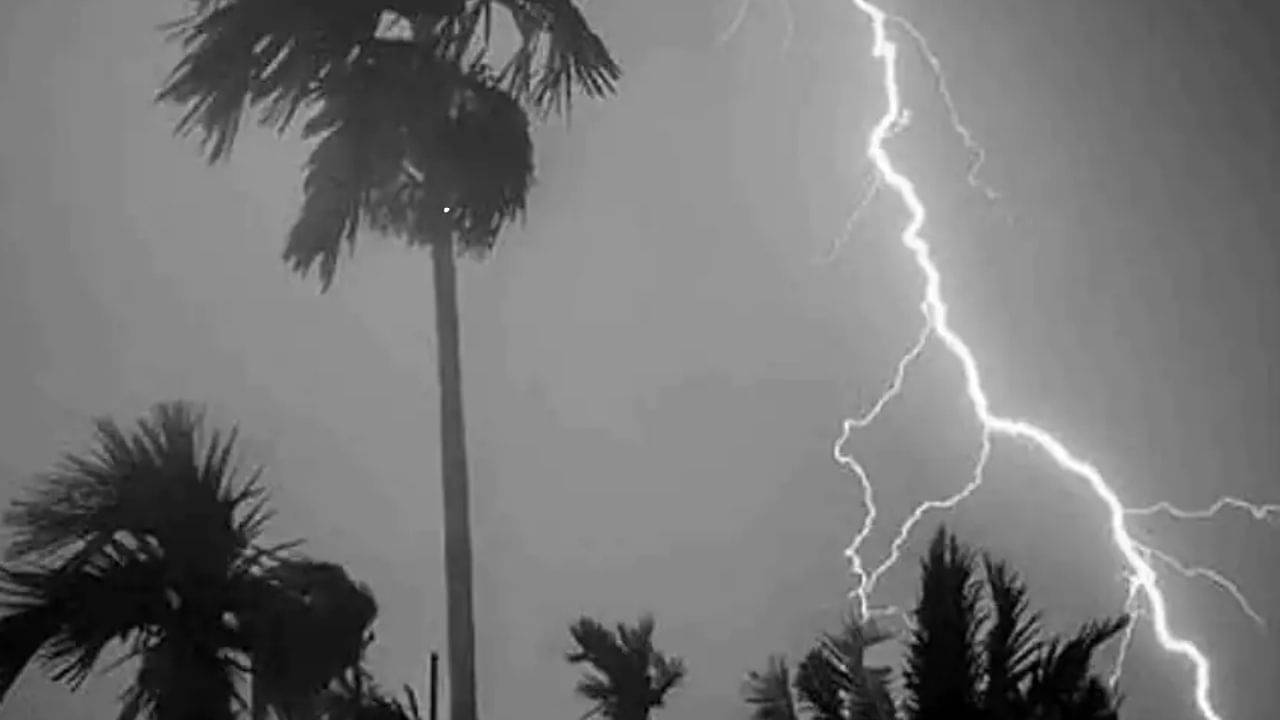 Weather Update: বৃহস্পতিতে ভারী বৃষ্টির পূর্বাভাস, আপনার জেলায় কেমন থাকবে আবহাওয়া?