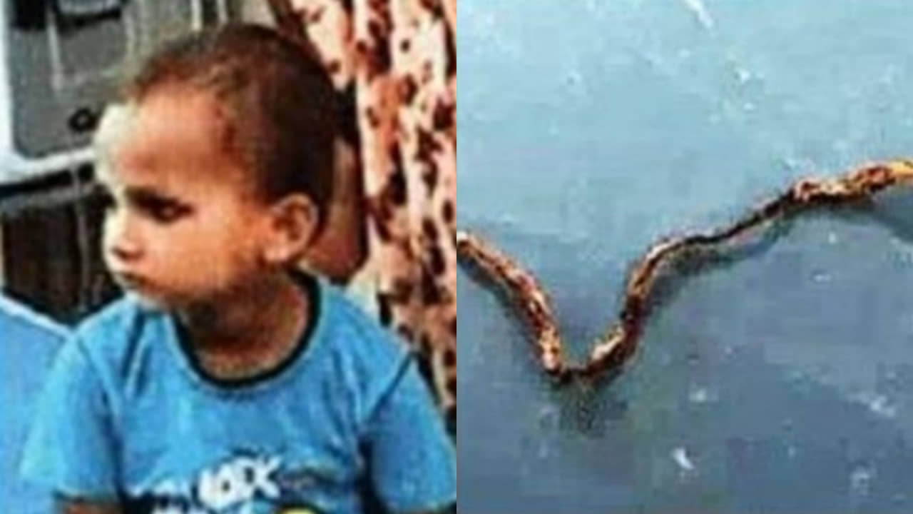 Uttar Pradesh: চিবিয়ে চিবিয়ে সাপ মারল তিন বছরের শিশু! যোগী-রাজ্যে অবাক কাণ্ড