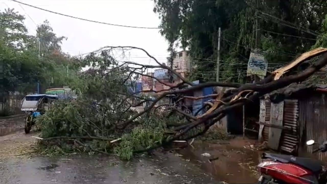 Birbhum News: তুমুল ঝড়-বৃষ্টি বীরভূমে, বাজ পড়ে আহত ১