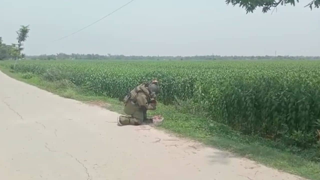 Bomb Recovery: পঞ্চায়েত ভোটের মুখে ফের উদ্ধার প্যাকেটভর্তি সকেট বোমা, আতঙ্ক ছড়াচ্ছে হরিহরপাড়ায়