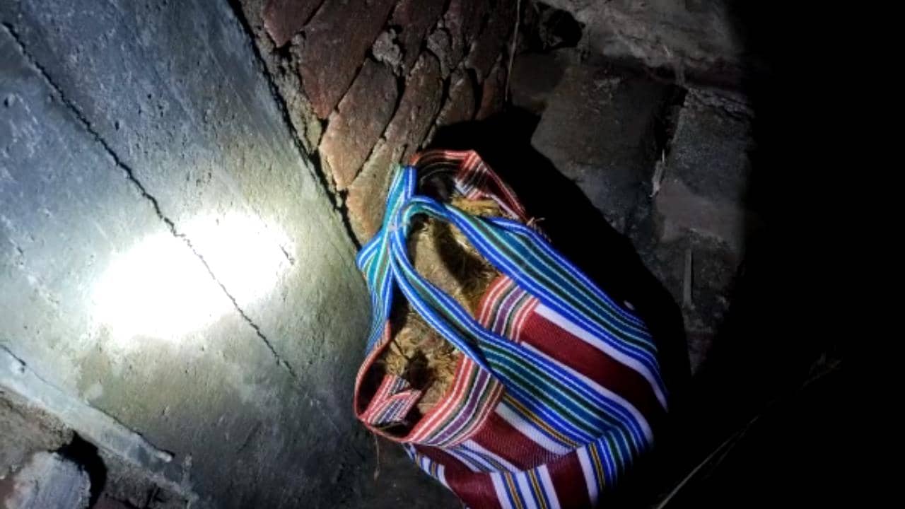 Bomb Recovery: পঞ্চায়েত ভোটের মুখে ফের মুর্শিদাবাদে ব্যাগ ভর্তি বোমা উদ্ধার