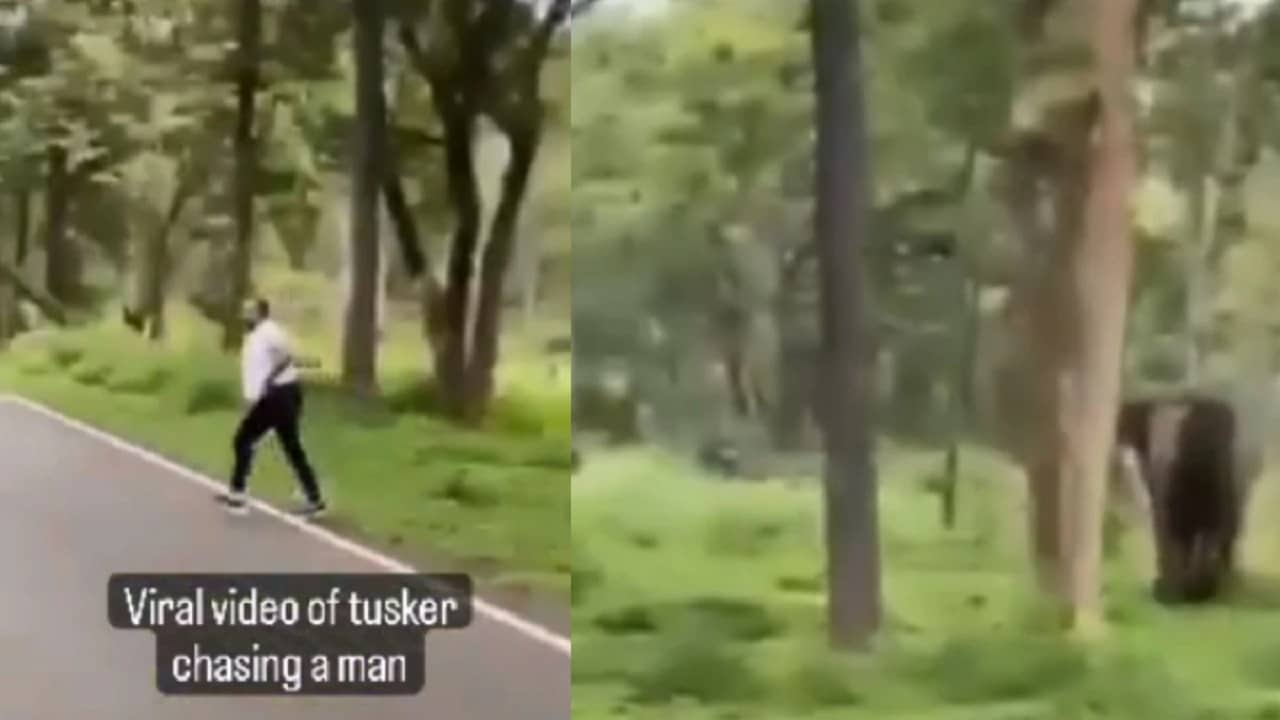 Viral Video: গিয়েছিলেন ছবি তুলতে, হাতির তাড়া খেয়ে জঙ্গল থেকে মারছুট দিলেন ব্যক্তি