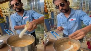 Viral Video: ডাস্টবিনে ঘাপটি মেরে লুকিয়ে বেবি কোবরা; উল্টোতেই ফণা তুলে করে উঠল ফোঁস, তারপর…