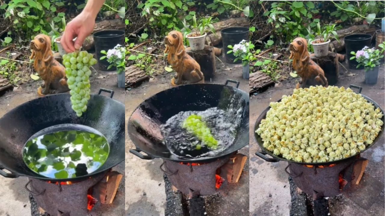 Viral Video: এবার এক কড়াই গরম তেলে ভাজা হল এক থোকা আঙুর, কী হল জানেন? দেখুন একবার