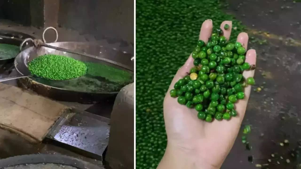 Viral Video: যে মুচমুচে নোনতা সবুজ মটর আমেজ করে খান, তা কীভাবে তৈরি হয় জানেন? ভিডিয়োটা দেখুন