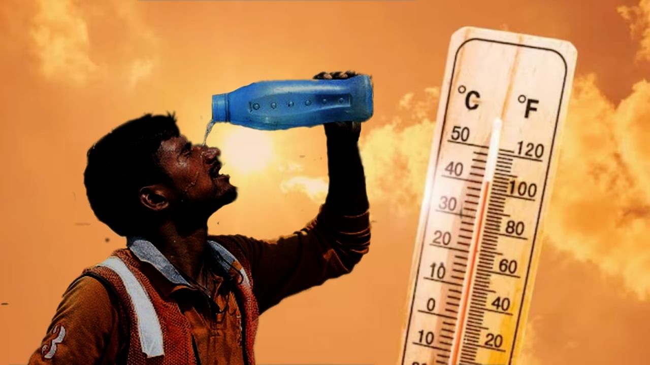 Heatwave: তাপপ্রবাহে পুড়ছে ভারত, এই দুই রাজ্যে বিশেষজ্ঞ দল পাঠাচ্ছেন কেন্দ্রীয় স্বাস্থ্যমন্ত্রী