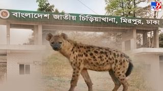 Bangladesh: গরমের জেরে বাংলাদেশে প্রাথমিকের পর বন্ধ মাধ্যমিক স্কুলও