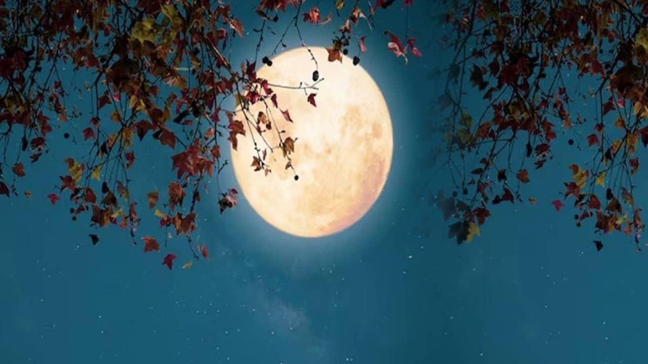 Jyeshtha Purnima 2023: আজ জ্যৈষ্ঠ পূর্ণিমায় শুভ ও বিরল যোগ! শ্রীহরির কৃপা পেতে এই কাজ মোটেও করবেন না