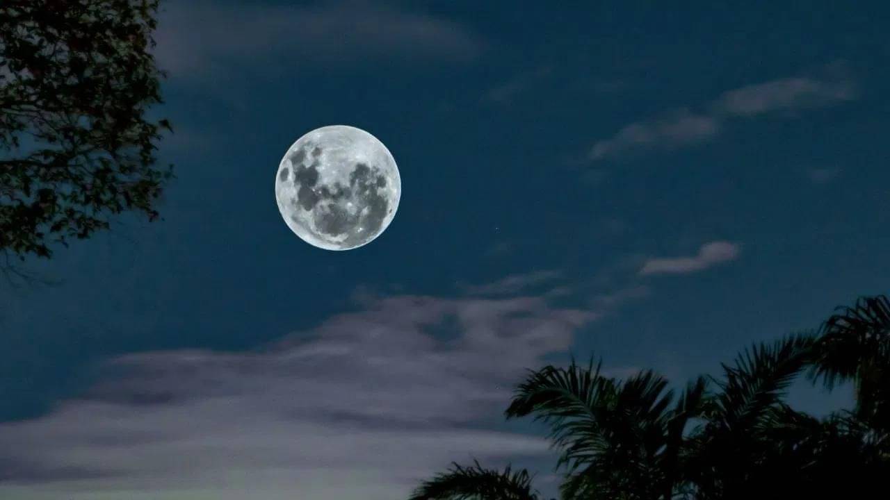 Jyeshtha Purnima 2023: সামনেই জ্যৈষ্ঠ পূর্ণিমা! এদিন কখন, কবে ও কী কাজ করলে উজ্জ্বল হবে ভাগ্য?