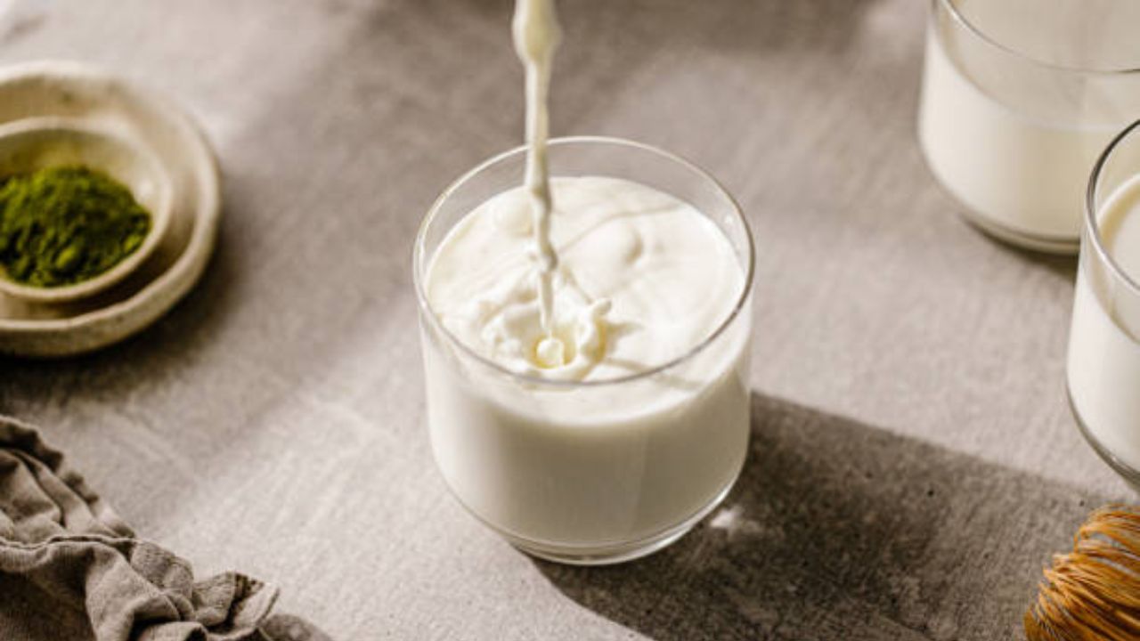 World Milk Day: গরু নাকি ছাগল, কোন দুধে পুষ্টি বেশি