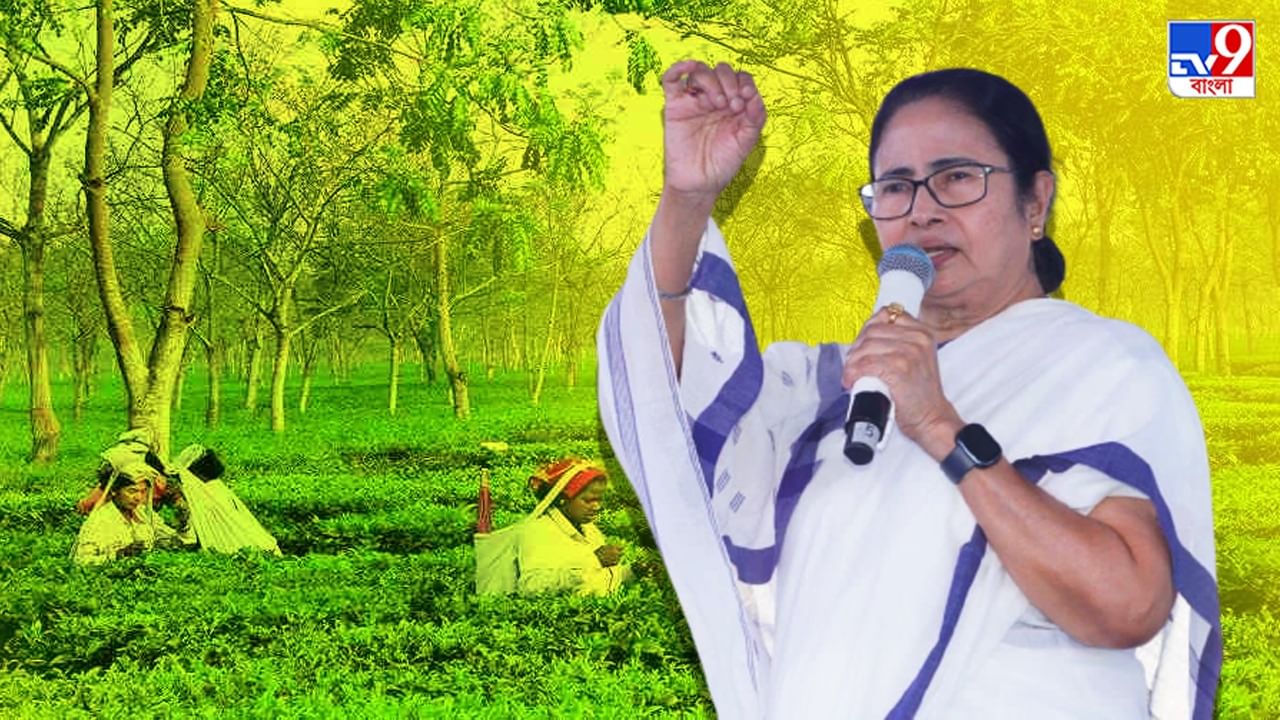 Mamata Banerjee: প্রত্যেক চা শ্রমিকের পাকা বাড়ি, উত্তরে গিয়ে ‘কল্পতরু ...