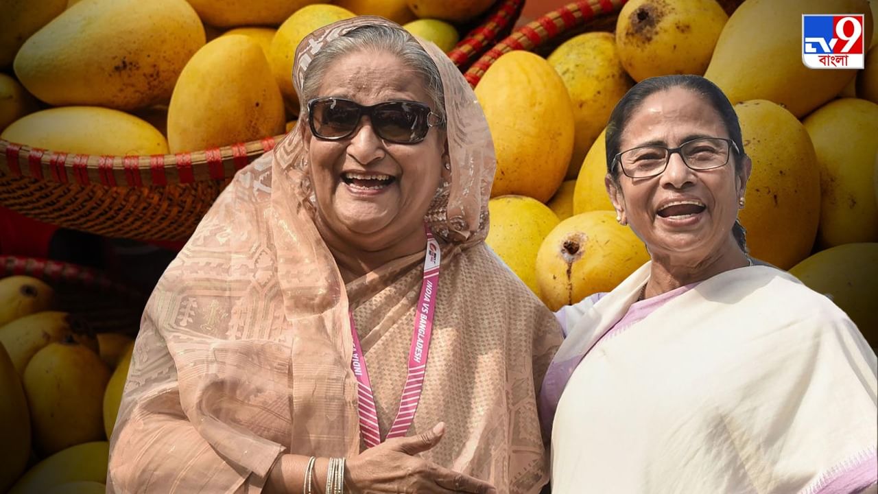 Mamata-Hasina: 'বোন' মমতার জন্য হাসিনার উপহার, বাছাই করা ৬০০ কেজি পদ্মাপারের আম এল বাংলায়