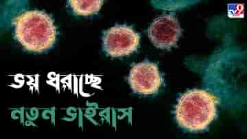 New Virus: করোনার পর এবার নতুন ভাইরাসের প্রাদুর্ভাব? সিঁদুরে মেঘ দেখছেন বিজ্ঞানীরা