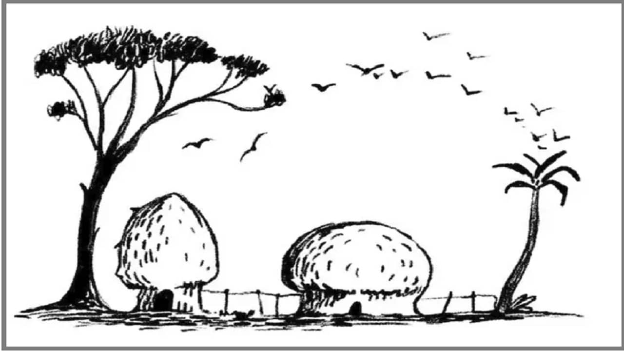 Optical Illusion: ছবিতে প্রথমে কি নজরে এল? প্রেমে ঠকবেন নাকি ঠকাবেন, বলে দিতে আপনার সেই দৃষ্টিভঙ্গি