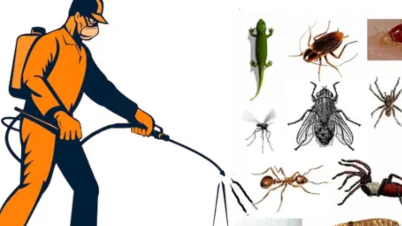 Bangladesh: পোকামাকড় মারতে ঘরে ওষুধ প্রয়োগ, মৃত্যু দুই সন্তানের