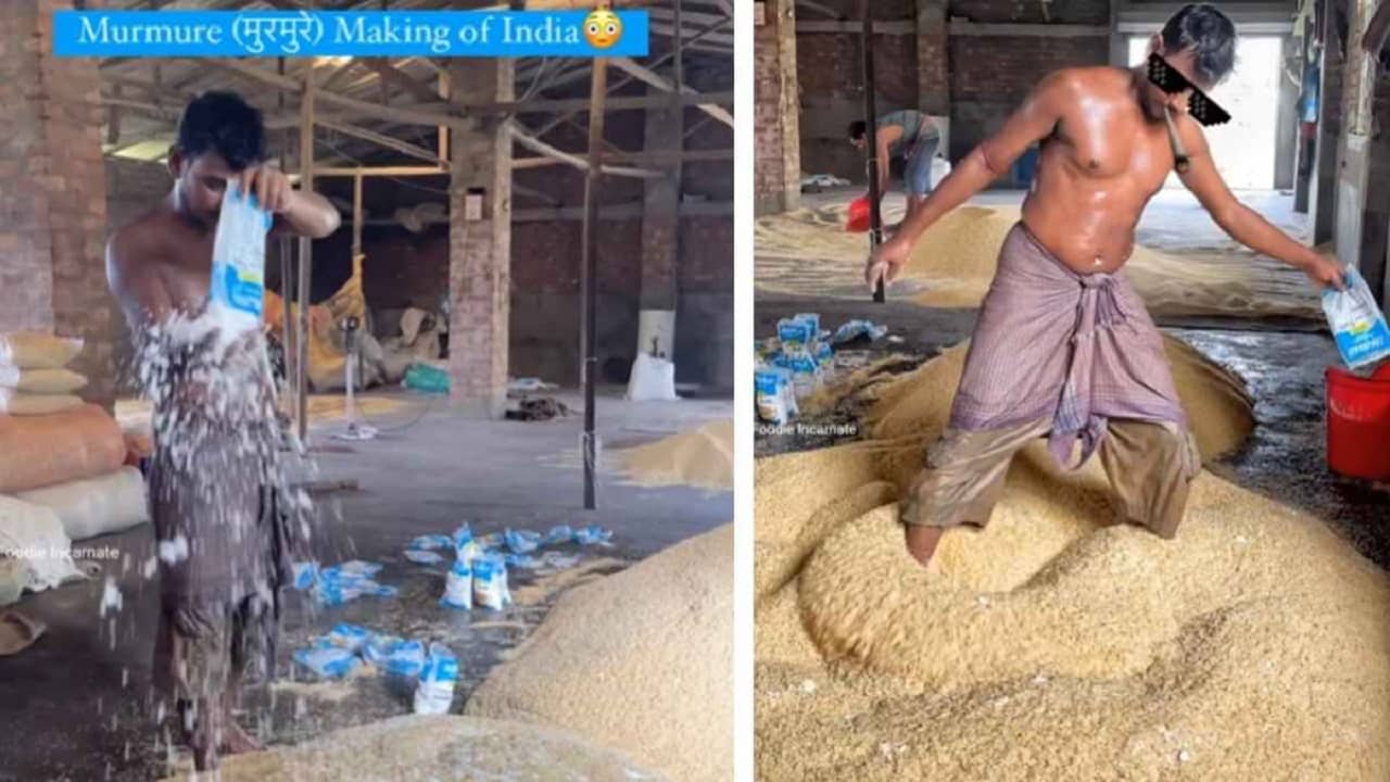 Viral Video: বাঙালির প্রিয় সাদা ধবধবে মুড়ি যে কতটা নোংরা উপায়ে তৈরি হয়, এই ভিডিয়ো দেখলে আর মুখে তুলবেন না