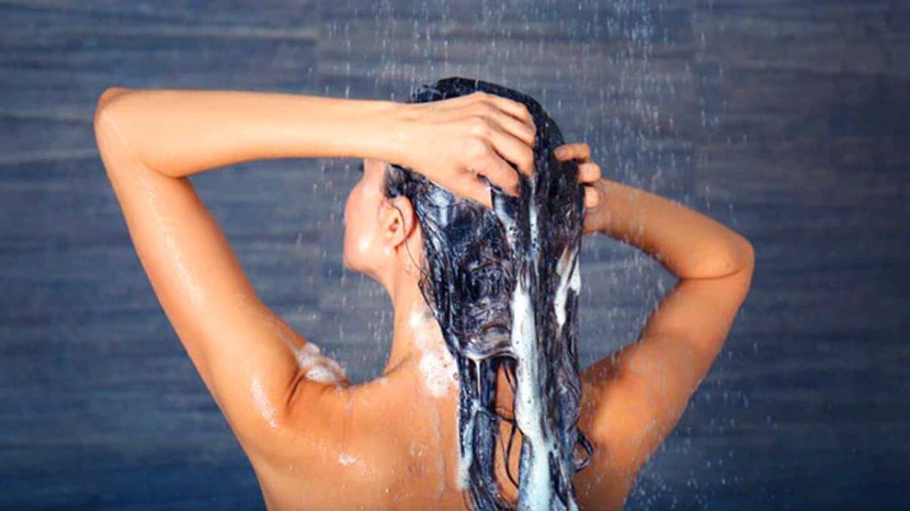 Hair Care Tips: চুল পড়ে যাচ্ছে? সঠিক উপায়ে শ্য়াম্পু করছেন কি না জানুন
