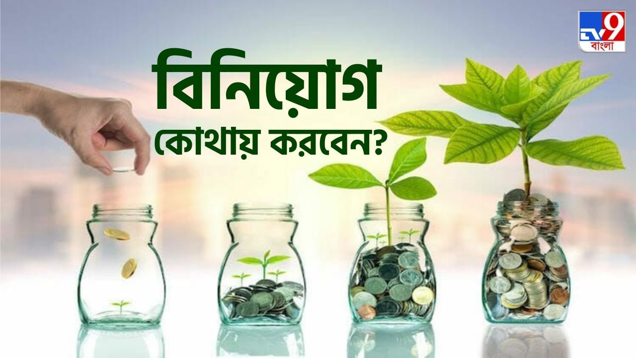 Where To Invest: কোন খাতে বিনিয়োগ, বিনিয়োগকারীর জন্য সবচেয়ে বেশি লাভজনক?