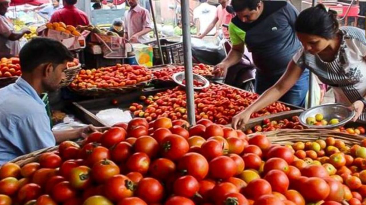 Tomato prices: টমেটোর দামে আগুন, শিগগিরই ১০০ টাকা ছাপিয়ে যাবে প্রতি কেজির দাম