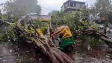 Cyclone Biparjoy: বিপর্যয়-এর জের! চলন্ত মোটরবাইকে গাছ পড়ে মৃত্যু মহিলার, আহত স্বামী