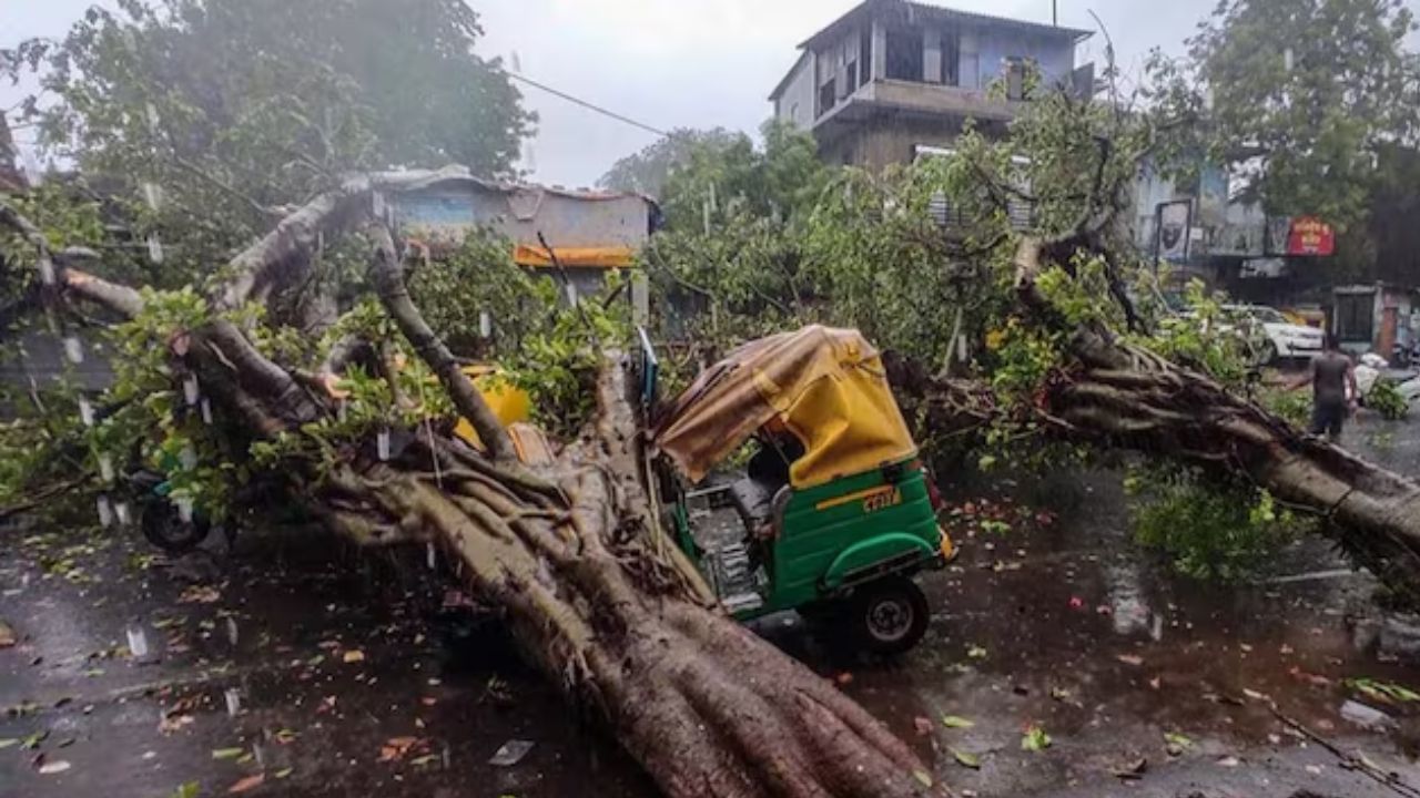 Cyclone Biparjoy: 'বিপর্যয়'-এর জের! চলন্ত মোটরবাইকে গাছ পড়ে মৃত্যু মহিলার, আহত স্বামী