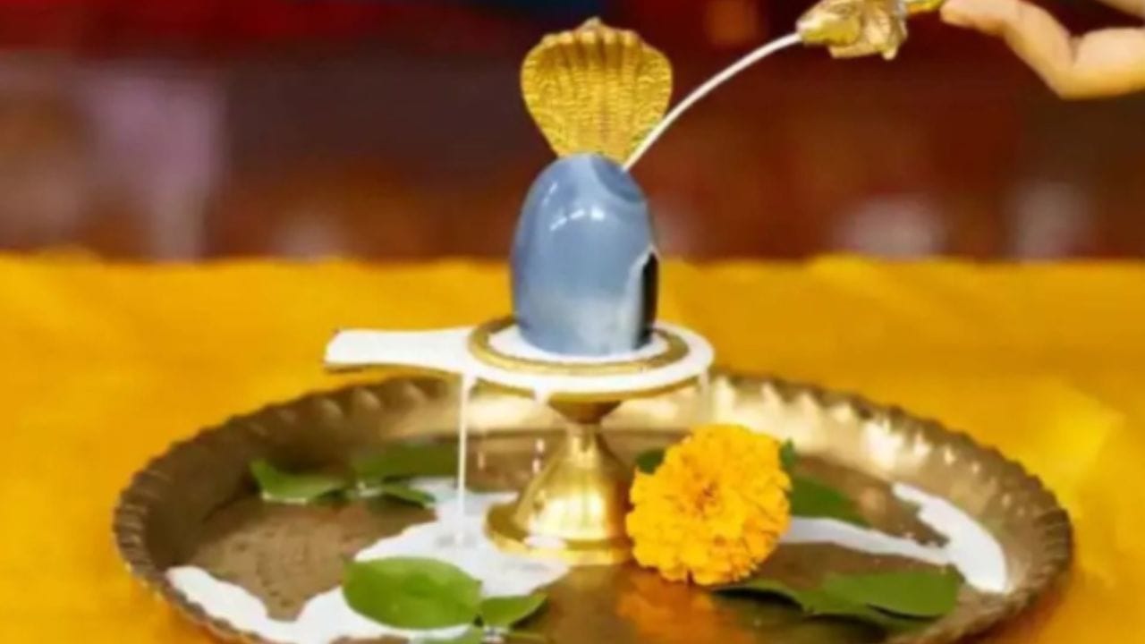 Tuesday Donation: বিশেষ দিনে বিশেষ দান! অর্থলাভের আশায় মঙ্গলবার কোন দেবতাকে কী দান করবেন?