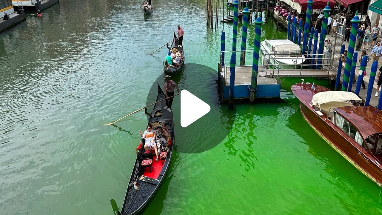 Venice Canal Water Colour: রং পাল্টে ভেনিসে জল এখন সবুজ!