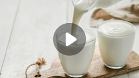 Milk Nutrition: গরু না ছাগল, কোন দুধে বেশি পুষ্টি? Milk Nutrition: গরু না ছাগল, কোন দুধে বেশি পুষ্টি?