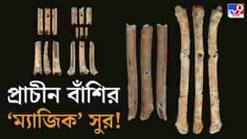 Ancient Flutes: পাখির হাড় থেকে বিরল বাঁশির সুর, কাছে ডেকে আনবে আপনার প্রিয় মানুষটিকেও!