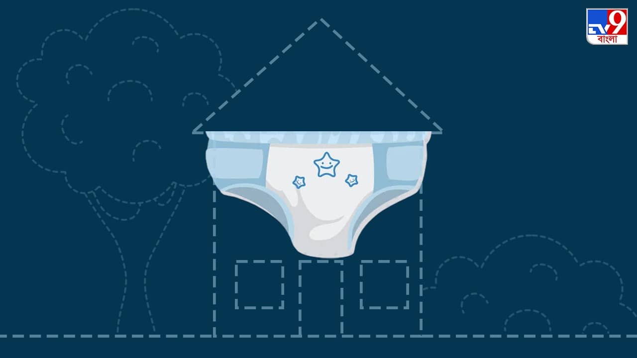 House of Recycled Diapers: ডাঁই হওয়া ডাইপারে তৈরি হল বাড়ি, সুবিধার কথা জানলে আপনিও একটা বানাতে চাইবেন