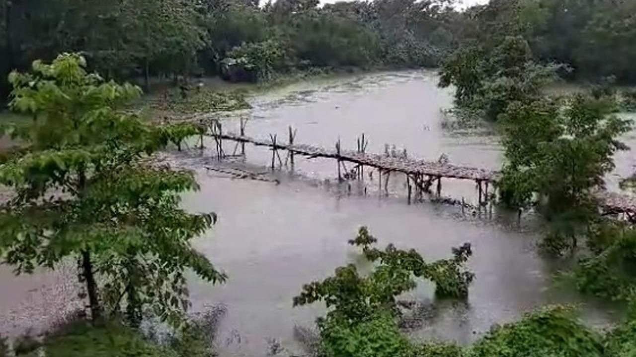 Alipurduar Rain: নদীর জলে বিপদ বাড়ছে উত্তরবঙ্গে?