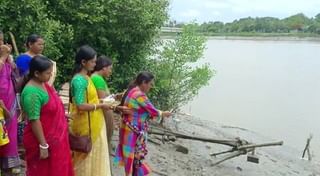 Stay Healthy in Rainy Season: বর্ষার আগে রোগ থেকে বাঁচবেন কীভাবে?