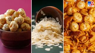 Caramelized Puffed Rice: সস্তায় পুষ্টিকর, নিরামিষের দিনে মুড়ির পায়েস একবার খেলে বারবার মন চাইবে…