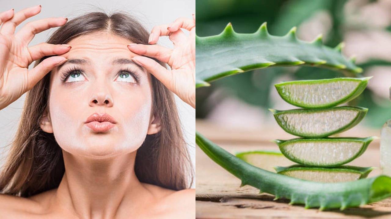 Wrinkles-Aloe Vera: বলিরেখা ঠেকাতে রোজ অ্যালোভেরা মাখুন, আর কোনও ফেসিয়াল করার প্রয়োজন নেই
