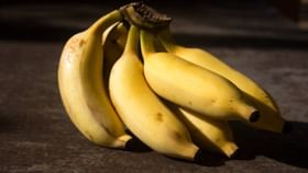 Banana for Health: রক্তচাপ থেকে কোলেস্টেরল—যে সব লাইফস্টাইল ডিজ়িজের ওষুধ কলা Banana for Health: রক্তচাপ থেকে কোলেস্টেরল—যে সব লাইফস্টাইল ডিজ়িজের ওষুধ কলা
