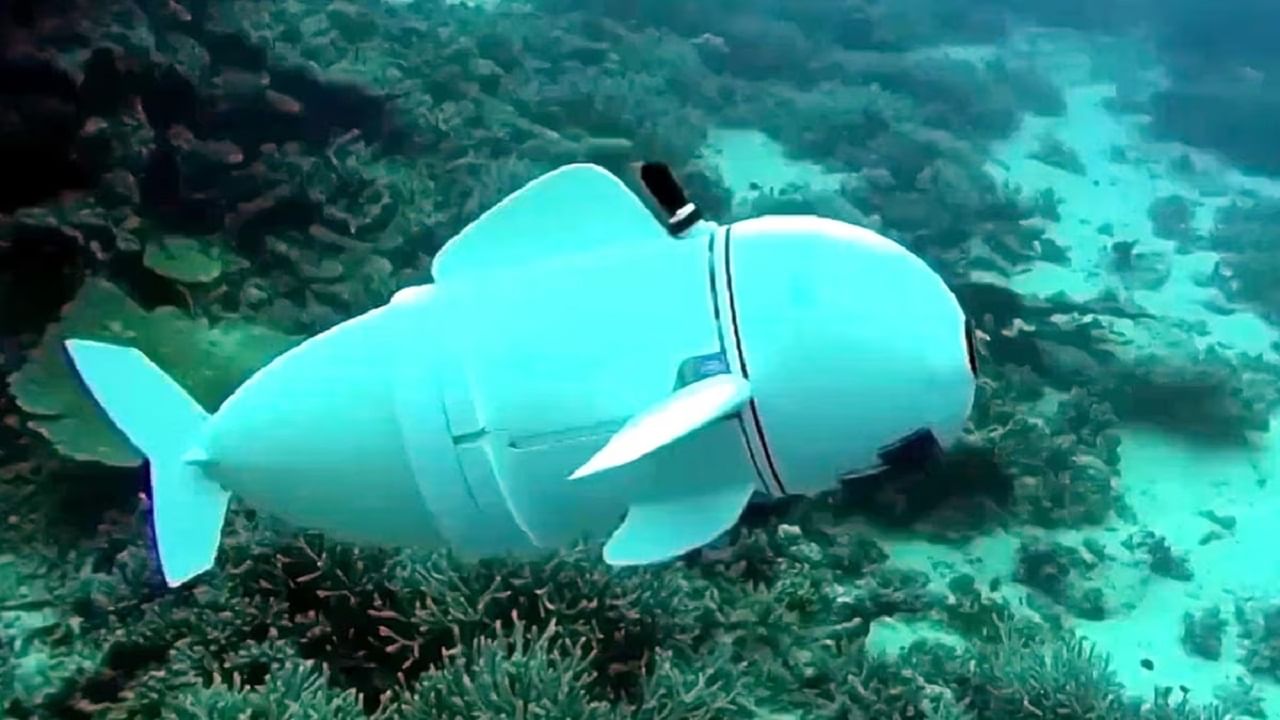 Robot Fish সমুদ্রে 'গুপ্তচর' পাঠালেন গবেষকরা, গভীর জলের প্রাণীদের