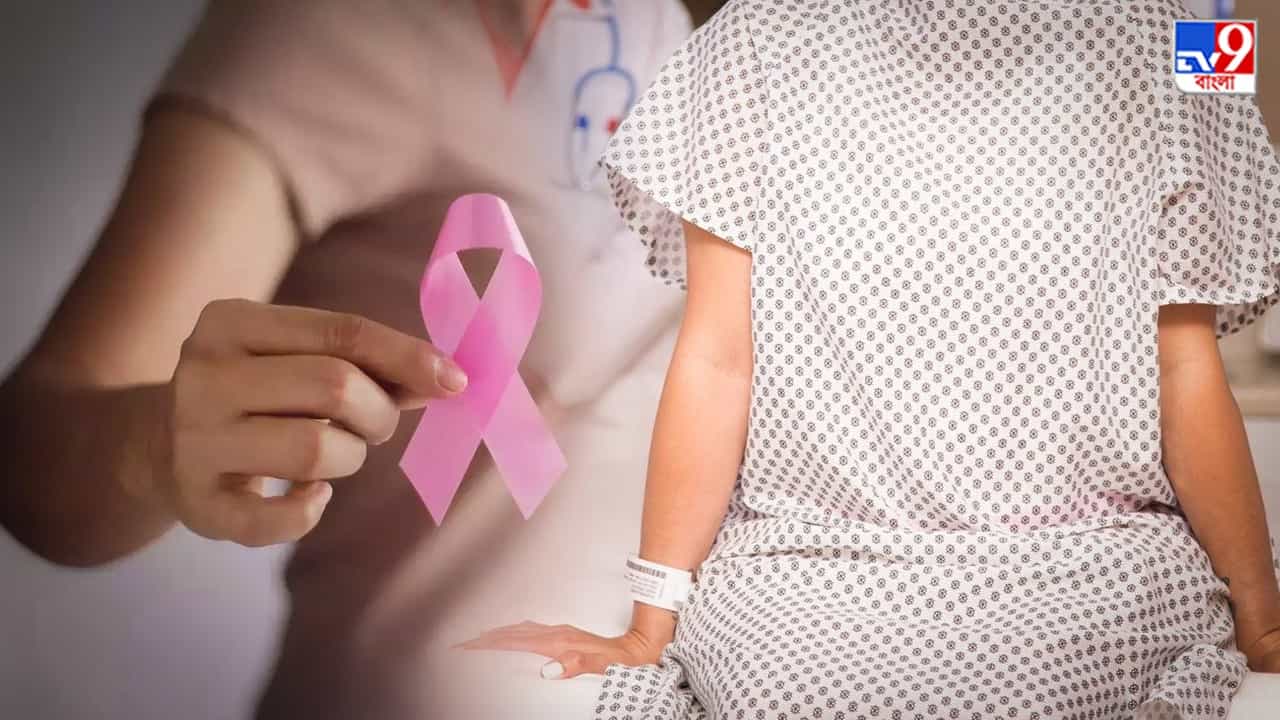 Cancer Affecting Women: কোন ধরনের ক্যানসারে আক্রান্ত হওয়ার ঝুঁকি বেশি মেয়েদের? জানুন Cancer Affecting Women: কোন ধরনের ক্যানসারে আক্রান্ত হওয়ার ঝুঁকি বেশি মেয়েদের? জানুন
