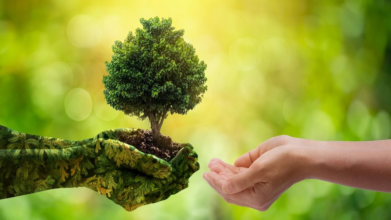 World Environment Day 2023: কেন আজকের দিনেই প্রকৃতি নিয়ে এত মাতামাতি?