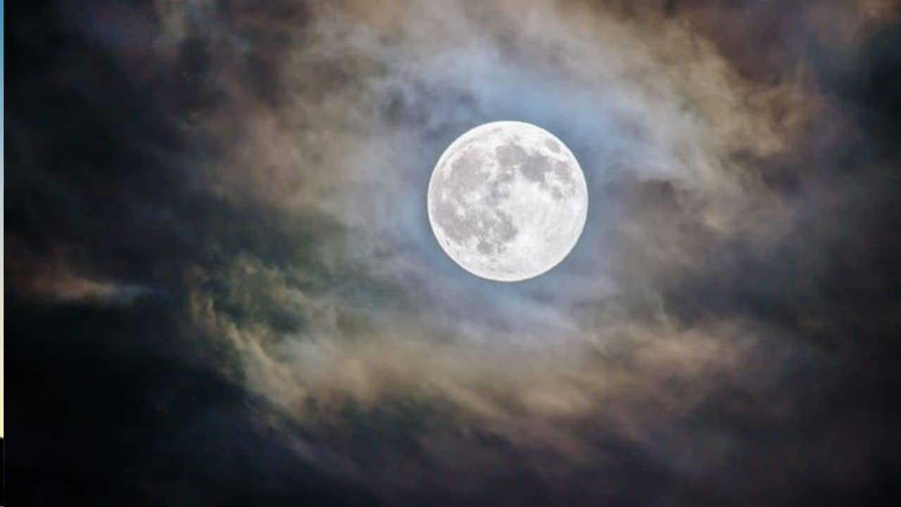 Ashadha Purnima 2023: আষাঢ় মাসের সবচেয়ে শুভ দিনে তুলসী নিয়ে জপ করুন এই মন্ত্র, পূরণ হবে সব মনের ইচ্ছা