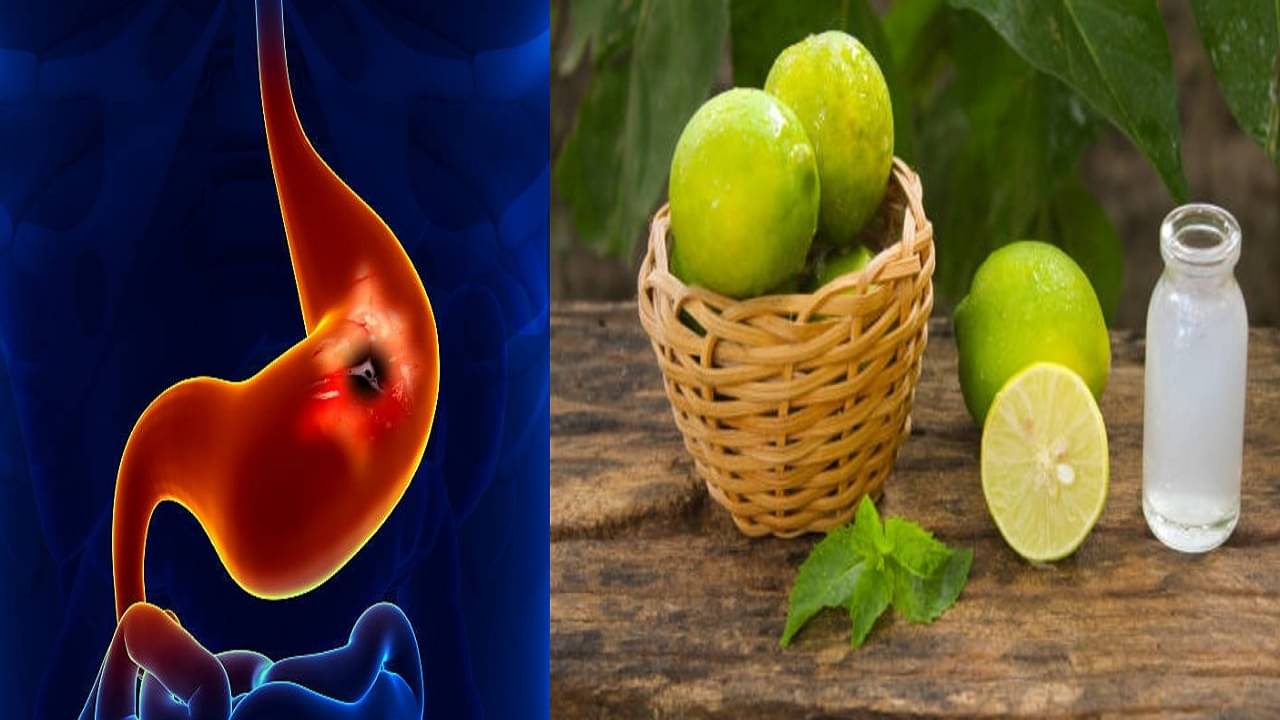 Stomach Problem: খাওয়ার পর পরই পেট গুড়গুড়? সাবধান, হতে পারে এই ৩ বিপজ্জনক রোগ