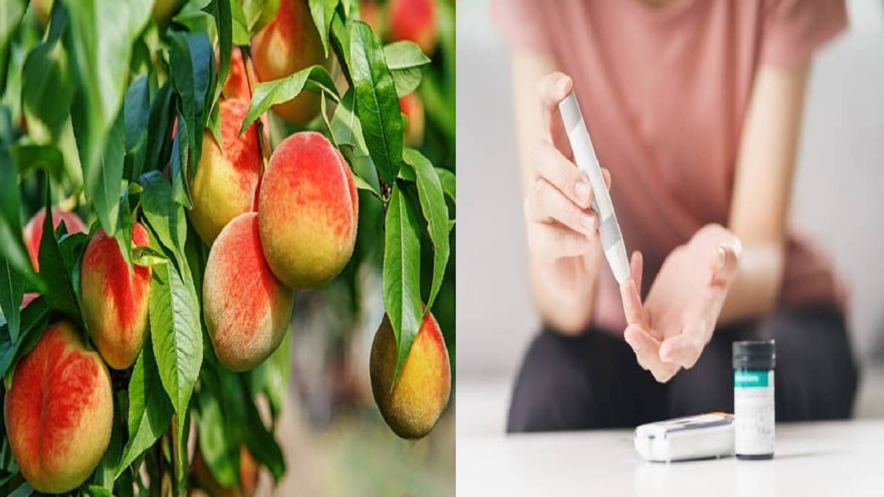 Diabetes Diet Tips: এই ভিটামিনই রুখে দেবে ডায়াবেটিস, আজ থেকেই তালিকায় রাখুন নির্ধারিত ফল-সবজি