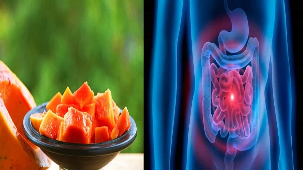 Diet Tips: পাকা পেঁপে খাওয়ার পর এই ৬ খাবার খেলে বদহজম-পেট ফাঁপা হবেই