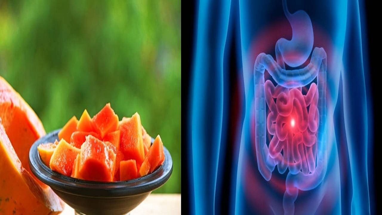 Diet Tips: পাকা পেঁপে খাওয়ার পর এই ৬ খাবার খেলে বদহজম-পেট ফাঁপা হবেই Diet Tips: পাকা পেঁপে খাওয়ার পর এই ৬ খাবার খেলে বদহজম-পেট ফাঁপা হবেই