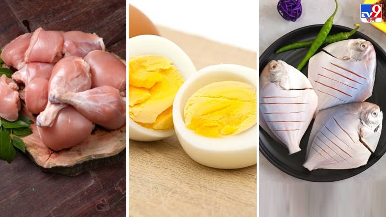 Protein for Weight Loss: মাছ-মাংস-ডিমে রয়েছে ভরপুর প্রোটিন, খেলে কি ওজন কমবে?